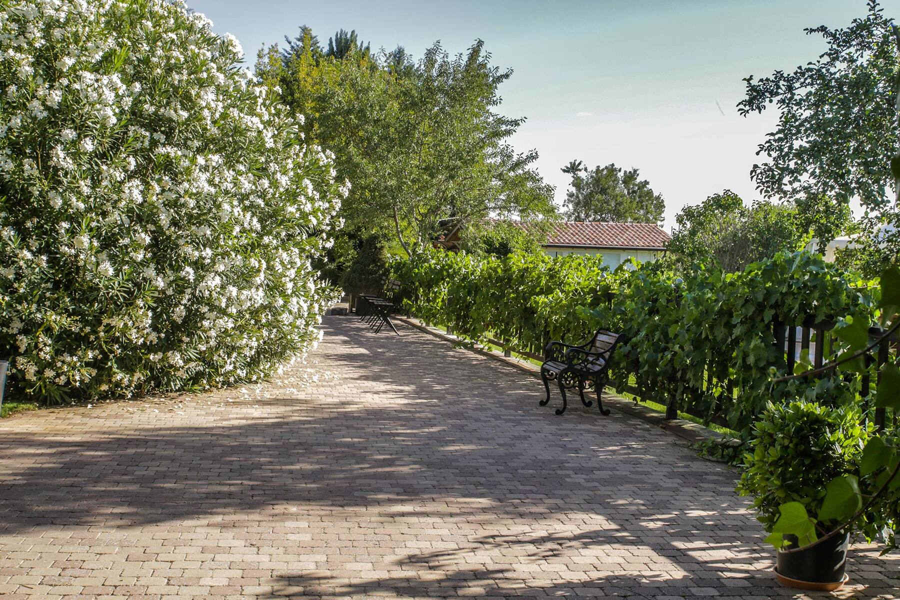 El jardín de La Era del Rey